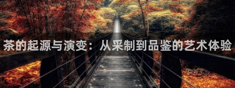 摩登7 1