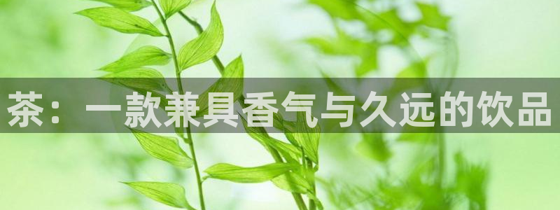 摩登7上3299O7