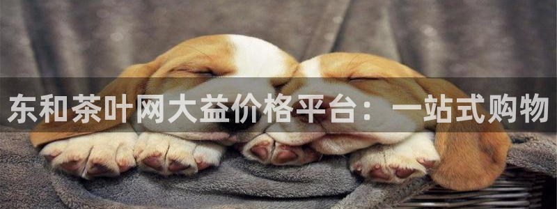 摩登7上