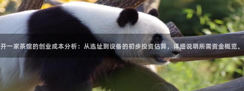 摩登7属于什么平台