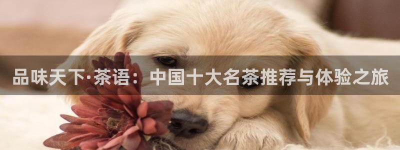 摩登7招商议333OO