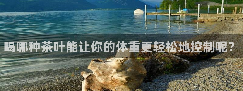 摩登7楼