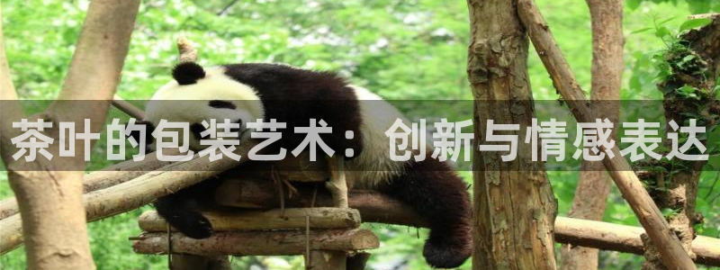 摩登7d2